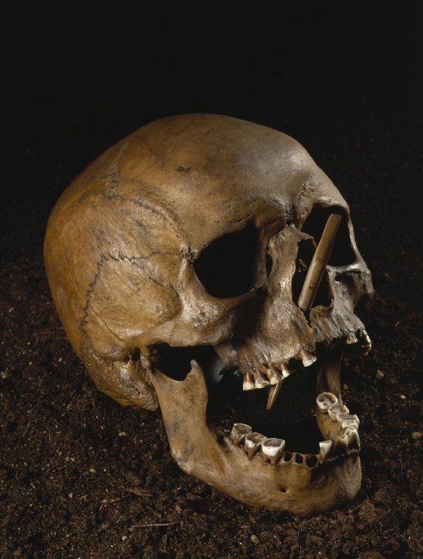Череп так называемого человека из Порсмозе, погибшего около 4600 лет назад.