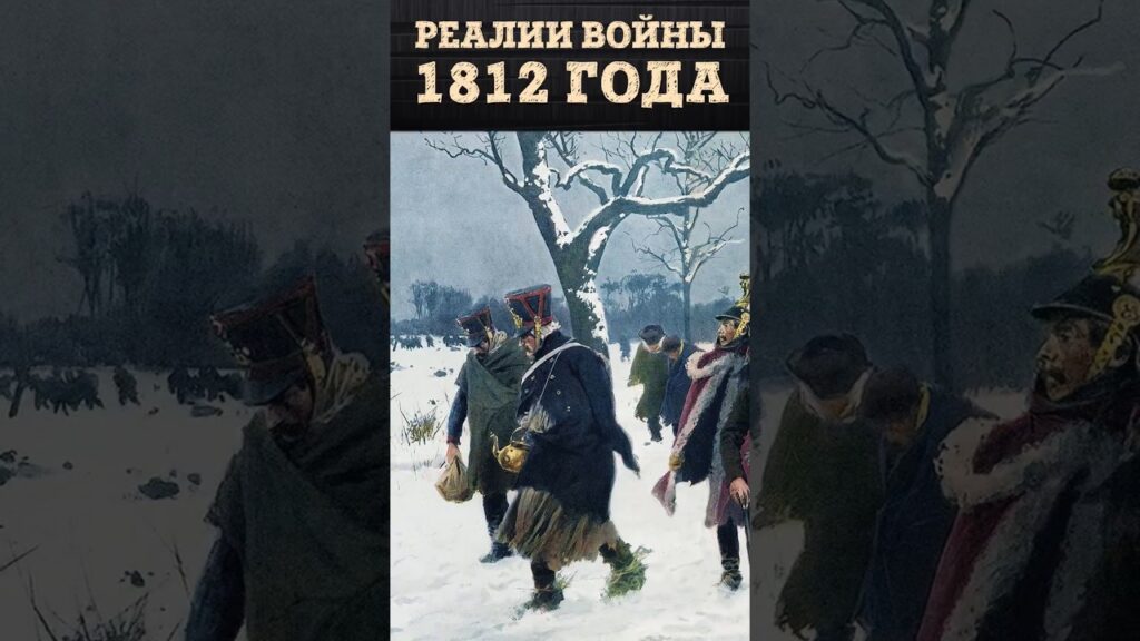 Небоевые потери армии Наполеона после отступления из Москвы. Реалии войны 1812 года | Владимир Лапин