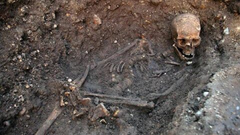 Ричард III: останки короля и историческая репутация